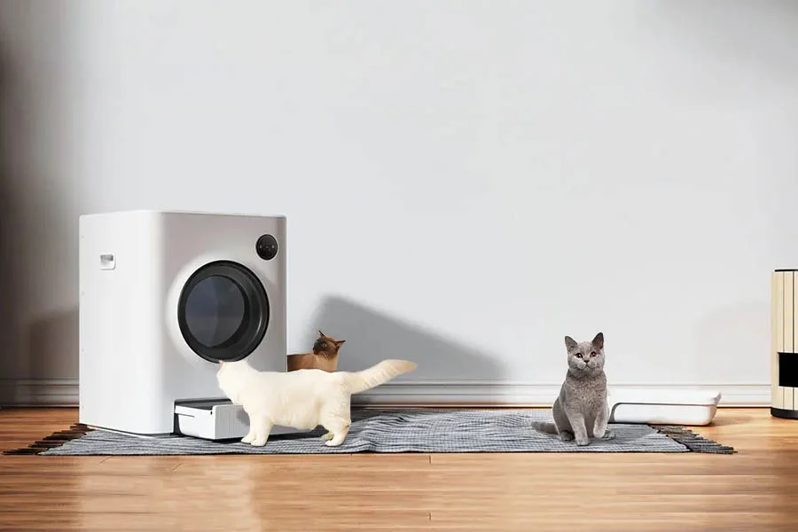 spinning cat litter box
